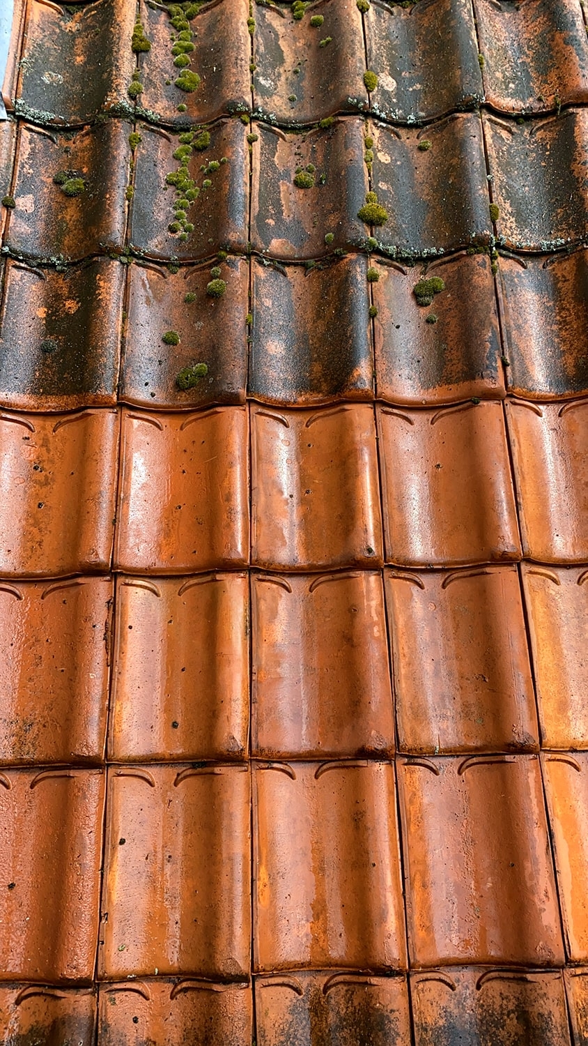 Dakpannen schoonmaken Geldrop